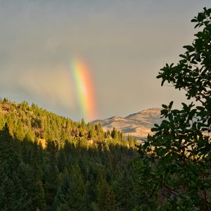 Превью обои горы, деревья, радуга, пейзаж