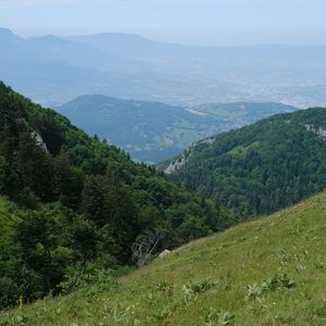 Превью обои горы, деревья, рельеф, пейзаж, природа