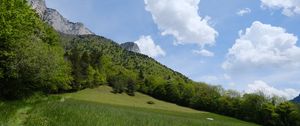 Превью обои горы, деревья, склон, трава, природа