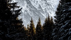 Превью обои горы, деревья, снег, пейзаж, зима