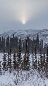 Превью обои горы, деревья, снег, закат, пейзаж, зима