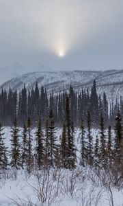 Превью обои горы, деревья, снег, закат, пейзаж, зима