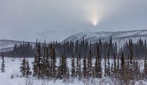 Превью обои горы, деревья, снег, закат, пейзаж, зима