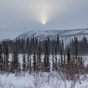 Превью обои горы, деревья, снег, закат, пейзаж, зима