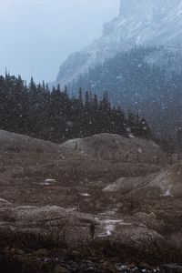 Превью обои горы, деревья, снегопад, пейзаж, сумерки