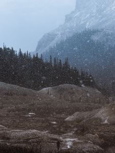 Превью обои горы, деревья, снегопад, пейзаж, сумерки