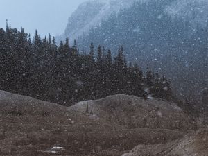 Превью обои горы, деревья, снегопад, пейзаж, сумерки