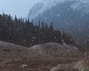 Превью обои горы, деревья, снегопад, пейзаж, сумерки