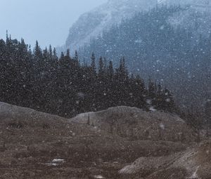 Превью обои горы, деревья, снегопад, пейзаж, сумерки