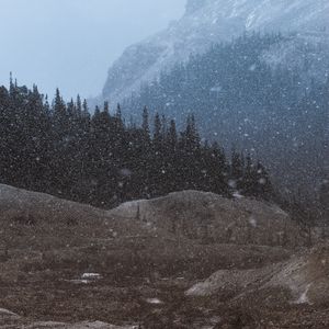 Превью обои горы, деревья, снегопад, пейзаж, сумерки