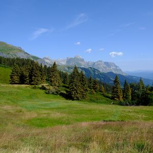 Превью обои горы, деревья, трава, лужайка, пейзаж