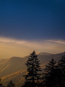 Превью обои горы, деревья, туман, облака, вершины