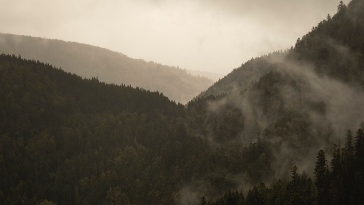 Обои горы, деревья, туман, природа