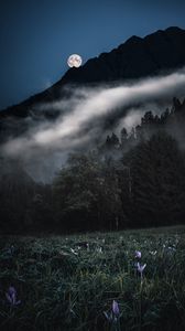 Превью обои горы, деревья, туман, луна, ночь, пейзаж