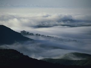 Превью обои горы, деревья, туман, мгла, мрак, облака