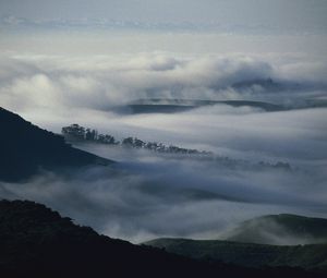 Превью обои горы, деревья, туман, мгла, мрак, облака