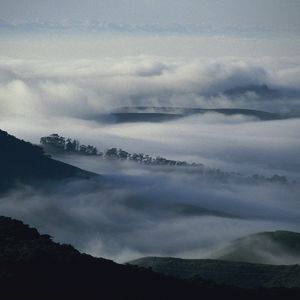 Превью обои горы, деревья, туман, мгла, мрак, облака