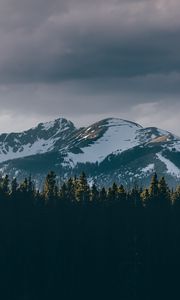 Превью обои горы, деревья, вершины, снег, небо