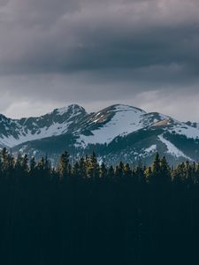 Превью обои горы, деревья, вершины, снег, небо