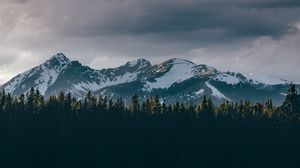 Превью обои горы, деревья, вершины, снег, небо