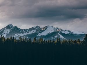 Превью обои горы, деревья, вершины, снег, небо