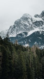 Превью обои горы, деревья, вершины, заснеженный, германия