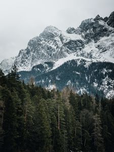 Превью обои горы, деревья, вершины, заснеженный, германия