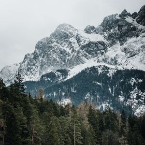 Превью обои горы, деревья, вершины, заснеженный, германия