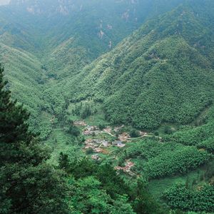 Превью обои горы, деревья, вид сверху