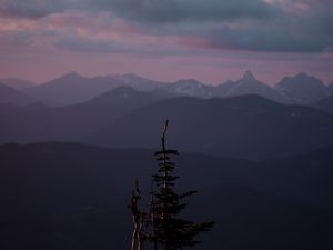 Превью обои горы, дерево, туман, пейзаж, высота