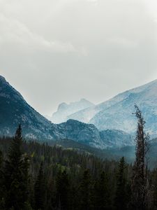 Превью обои горы, долина, деревья, лес, туман