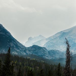 Превью обои горы, долина, деревья, лес, туман