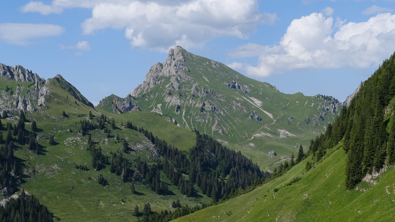 Обои горы, долина, пейзаж, трава, деревья