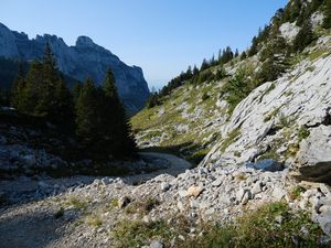 Превью обои горы, дорога, камни, скалы, деревья, пейзаж