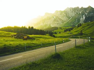 Превью обои горы, дорога, трава, солнечный свет, деревья, пейзаж, швейцария