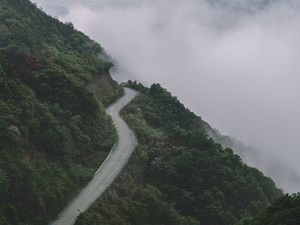 Превью обои горы, дорога, туман, лес, склон, высота