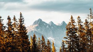 Превью обои горы, ель, деревья, небо, облака