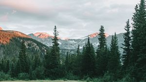 Превью обои горы, ель, озеро, деревья