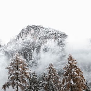 Превью обои горы, ель, снег, заснеженный, деревья