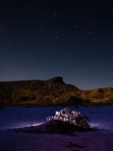 Превью обои горы, холм, куст, подсветка, ночь, звездное небо