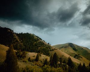 Превью обои горы, холмы, деревья, склоны, пейзаж