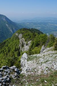 Превью обои горы, камни, деревья, пейзаж, вид