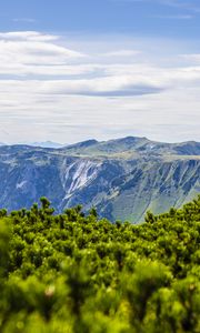 Превью обои горы, кусты, пейзаж