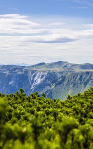 Превью обои горы, кусты, пейзаж