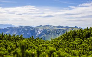 Превью обои горы, кусты, пейзаж