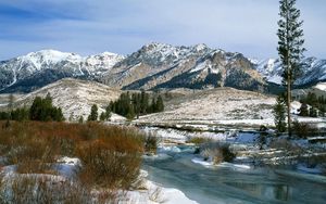 Превью обои горы, кусты, весна, снег, вода, айдахо