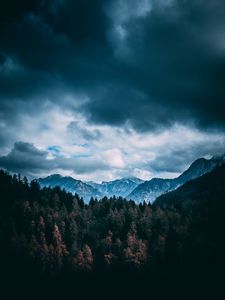Превью обои горы, лес, деревья, облака