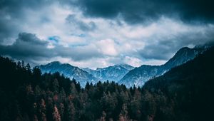 Превью обои горы, лес, деревья, облака