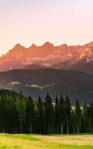 Превью обои горы, лес, деревья, луг, природа