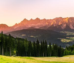 Превью обои горы, лес, деревья, луг, природа